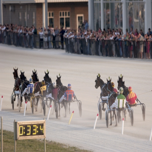 Horses passing in front of the georgian Downs grandstand